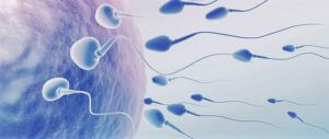 Male Infertility Treatment