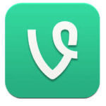 Vine